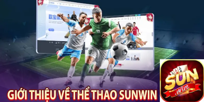 Thông tin về những điều hấp dẫn khi tải Sunwin